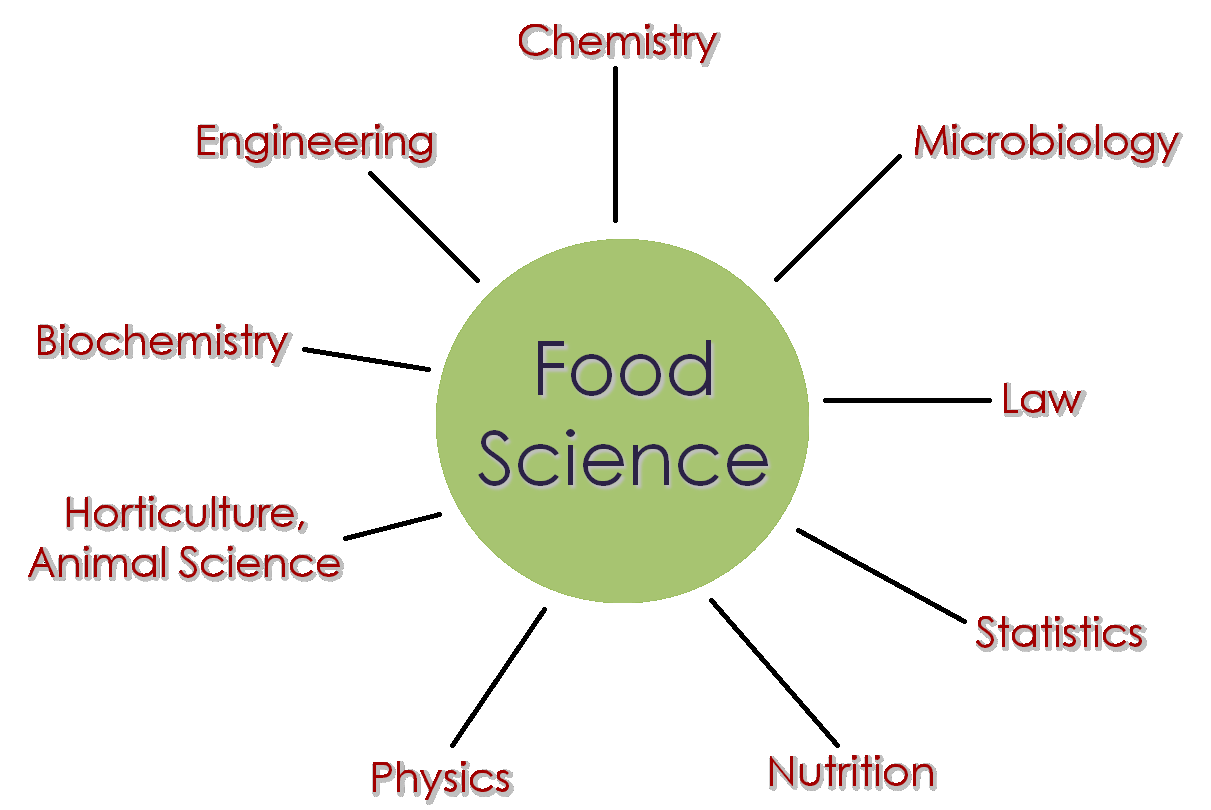 FUNDAMENTAL OF FOOD SCIENCE